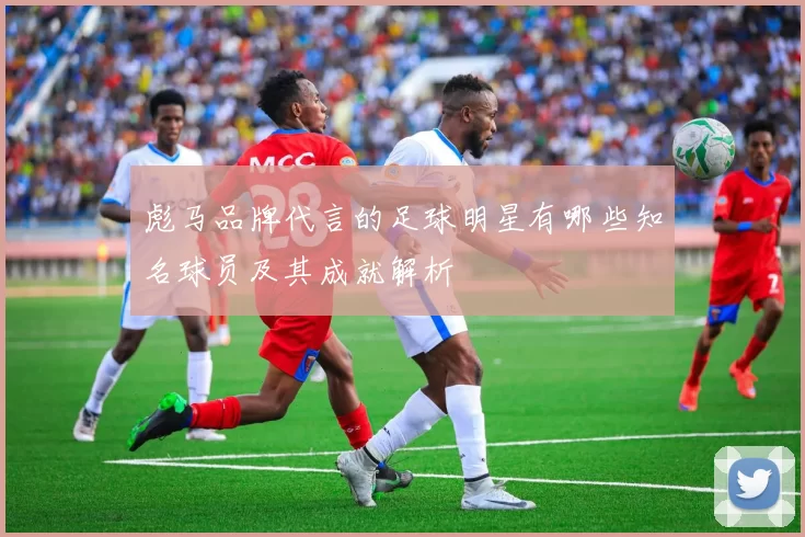 彪马品牌代言的足球明星有哪些知名球员及其成就解析