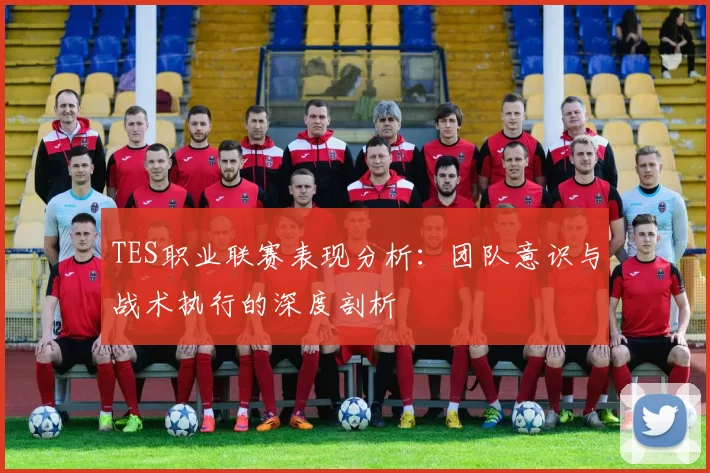TES职业联赛表现分析：团队意识与战术执行的深度剖析