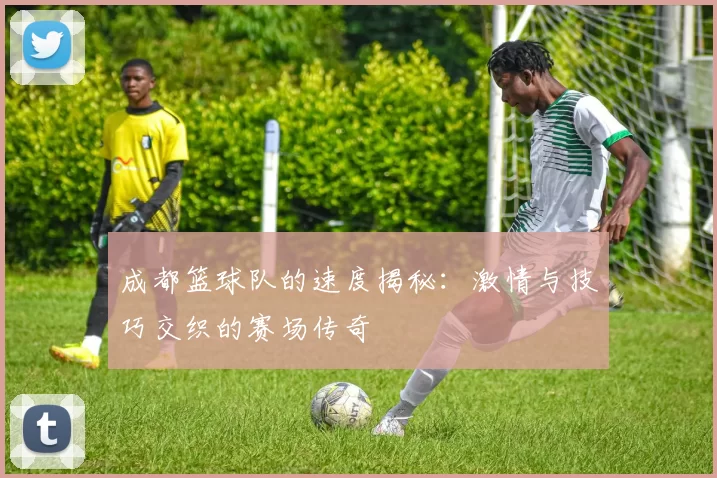 成都篮球队的速度揭秘：激情与技巧交织的赛场传奇