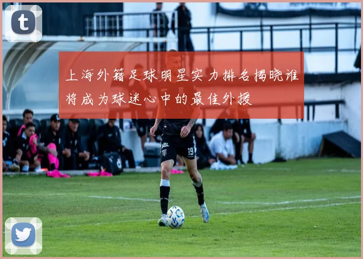 上海外籍足球明星实力排名揭晓谁将成为球迷心中的最佳外援