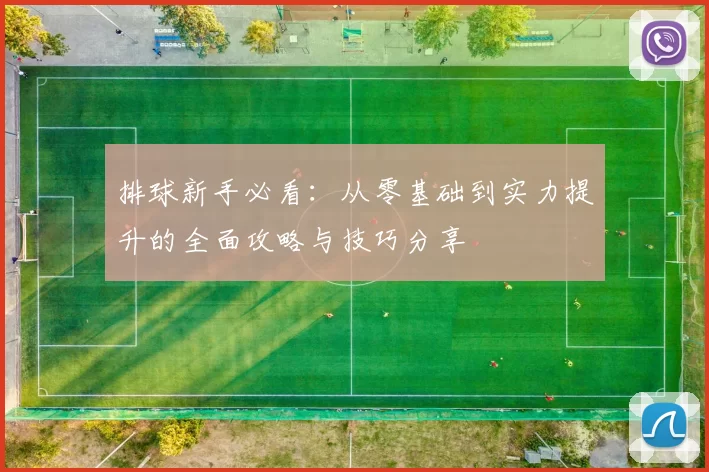 排球新手必看：从零基础到实力提升的全面攻略与技巧分享