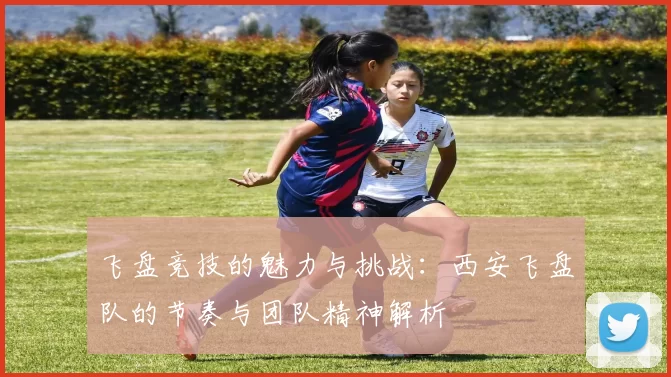 飞盘竞技的魅力与挑战：西安飞盘队的节奏与团队精神解析