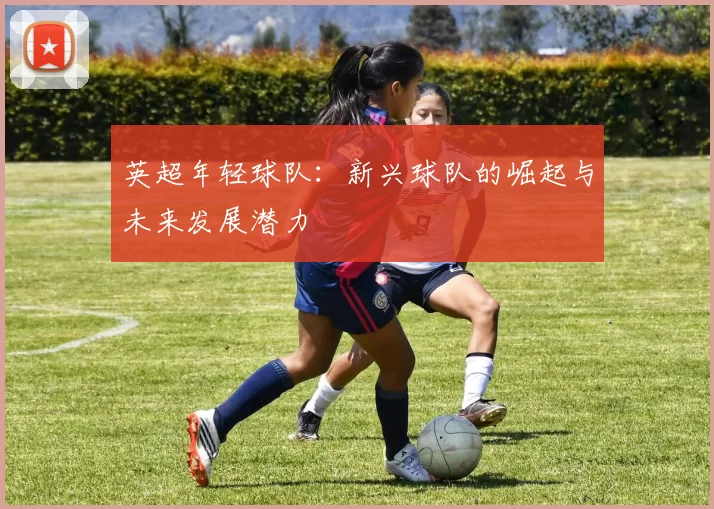 英超年轻球队：新兴球队的崛起与未来发展潜力