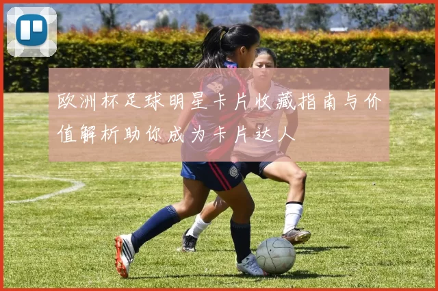 欧洲杯足球明星卡片收藏指南与价值解析助你成为卡片达人