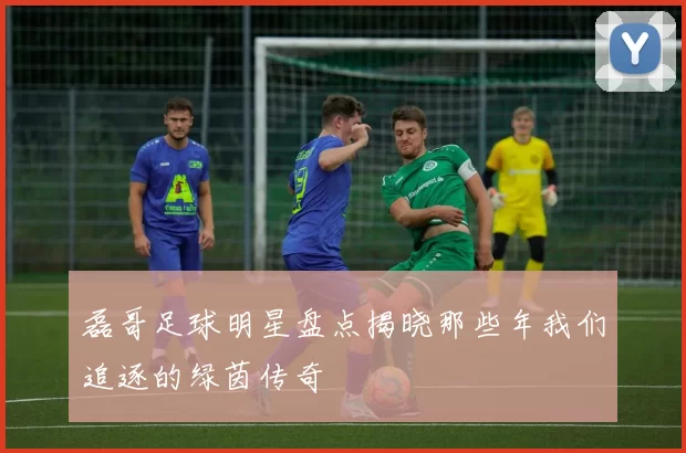 磊哥足球明星盘点揭晓那些年我们追逐的绿茵传奇