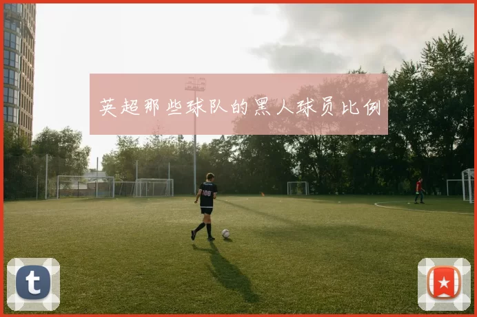 英超那些球队的黑人球员比例
