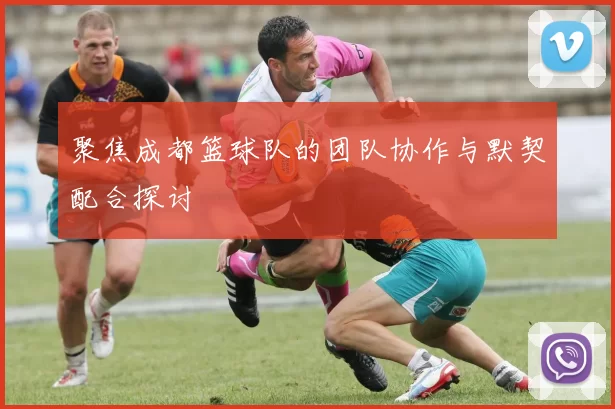 聚焦成都篮球队的团队协作与默契配合探讨