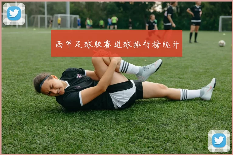 西甲足球联赛进球排行榜统计