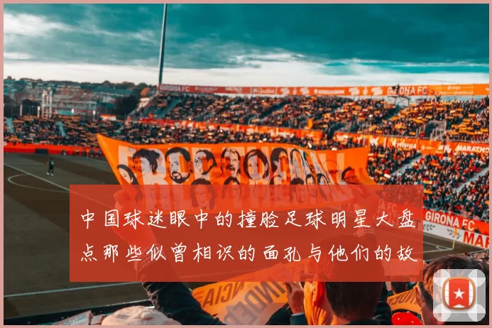 中国球迷眼中的撞脸足球明星大盘点那些似曾相识的面孔与他们的故事